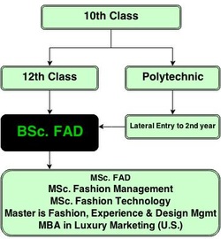 BSc. FAD Career Path
